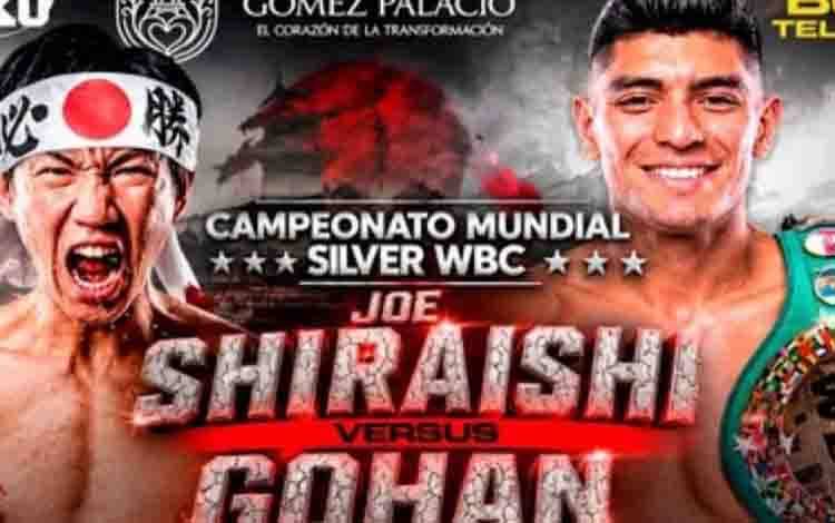 Rodriguez Diuji Petinju Jepang untuk Pertahanan Sabuk Juara WBC