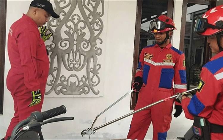 Lihat Ular Lidi di Balik Papan, Warga Lapor Damkar