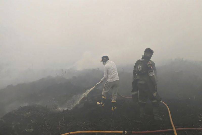 Gubernur Kalteng Minta Penanganan Karhutla Kobar Diperkuat, Ekskavator hingga Kanal Air Disiapkan