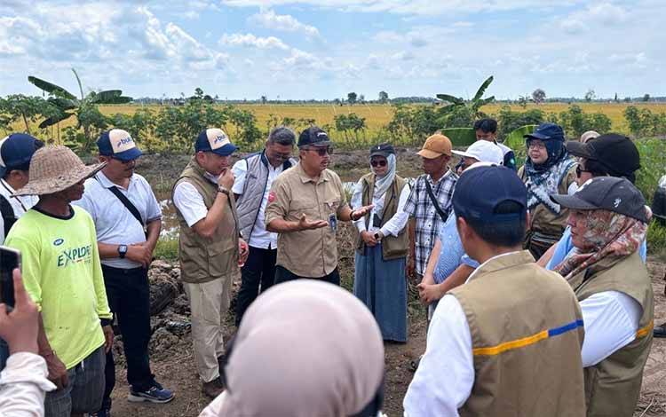 Bulog Kalteng Upayakan Kepastian Pasar bagi Petani Padi