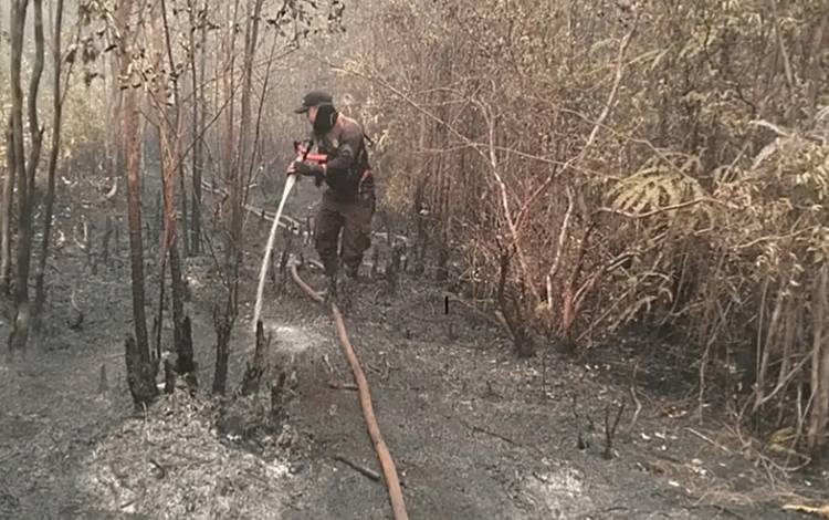 Sejak Juni 2026, 855 Kejadian Karhutla di Palangka Raya dengan Luasan Lahan Terbakar 1.420 Hektar