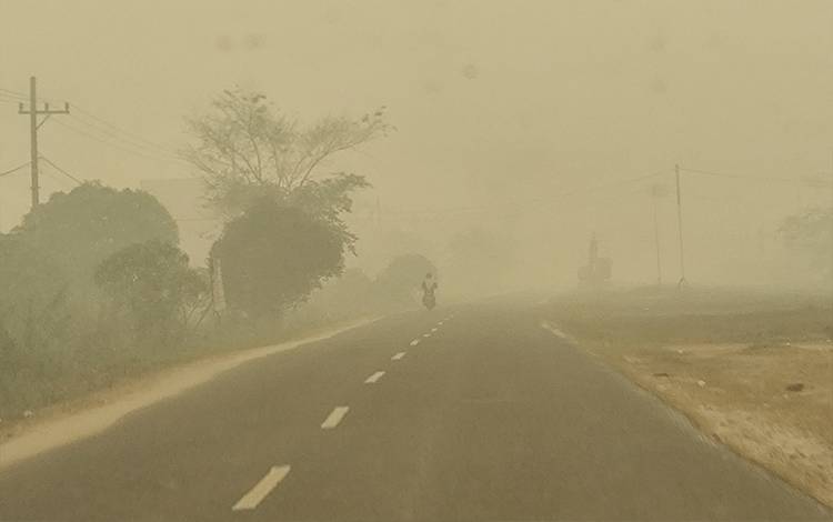 Kabut Asap Makin Pekat di Palangka Raya, Ancaman Karhutla Belum Berakhir