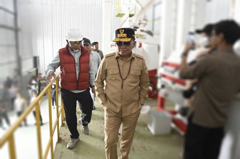 Hilirisasi Padi Kalteng Diperkuat lewat RMP Lampuyang, Kapasitas Produksi 1.000 Ton per Bulan