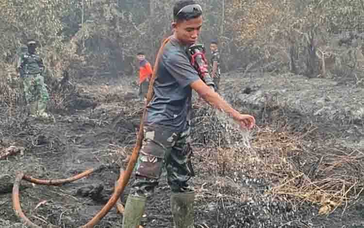 BPBD Palangka Raya Catat 876 Kejadian Karhutla dengan Luas Lahan Terbakar Capai 1.441 Hektar