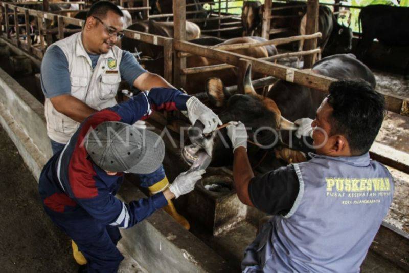 Kredit Produktif di Kalteng Capai Rp33,28 Triliun