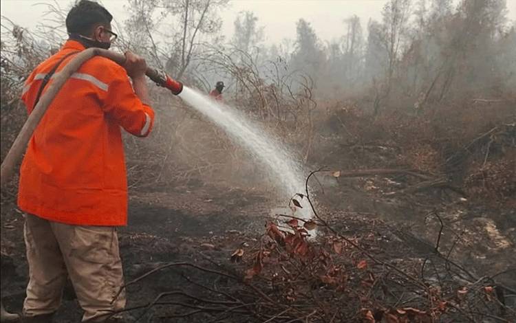 30 September Hingga 8 Oktober 663,15 Hektar Lahan Terbakar Dapat Dipadamkan di Kalteng