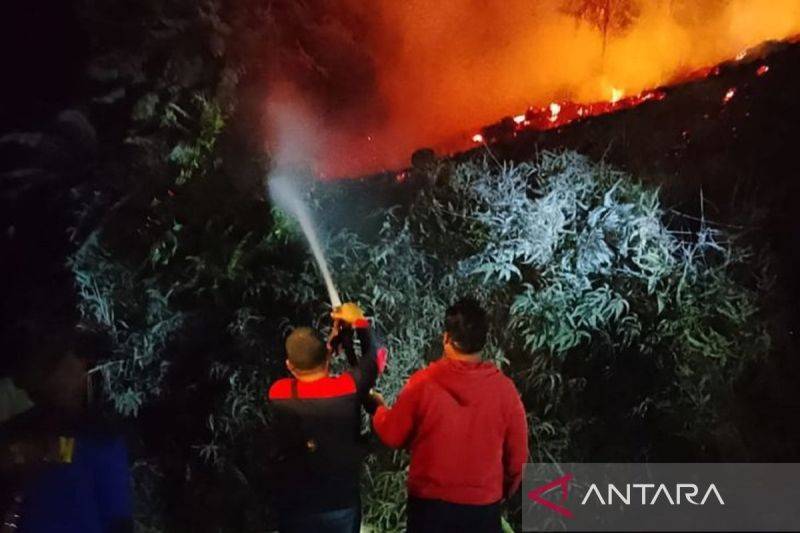 Kapuas Perpanjang Status Darurat Karhutla Dua Pekan