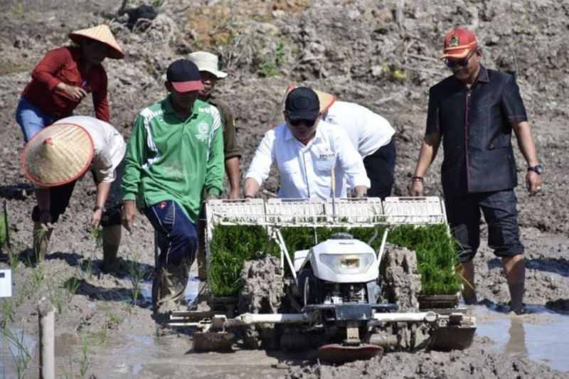Kapuas Kejar Sisa 2.560 Hektare Cetak Sawah untuk Penuhi Target 2026