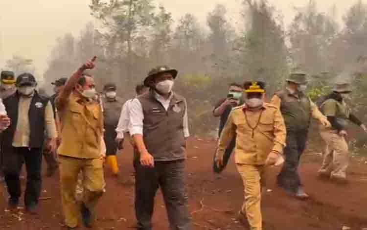 Menhut Ingatkan Titik Api Zona Inti Habitat Orangutan