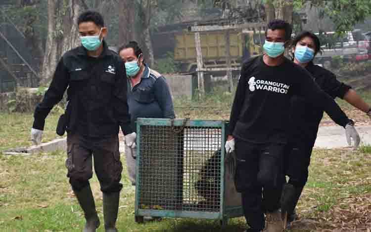 Evakuasi Satwa Jadi Perhatian Penanganan Karhutla Kalteng