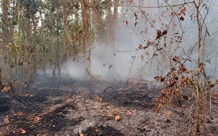 Karhutla di Ampah 2 Barito Timur Hanguskan Satu Hektare Semak dan Kebun Buah