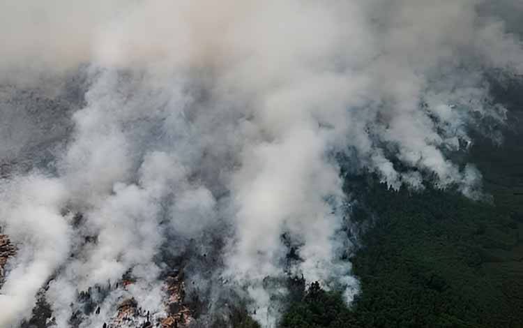 Menhut Akui Penanganan Karhutla TN Sebangau Tidak Mudah, Kepala Api Jadi Sasaran