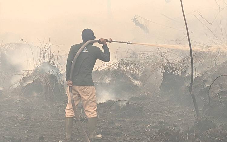 Pemprov Kalteng Terus Perkuat Penanganan Karhutla