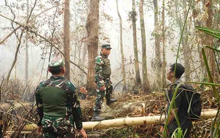 Pangdam XXII Tambun Bungai Tinjau Titik Api di Taman Nasional Tanjung Puting