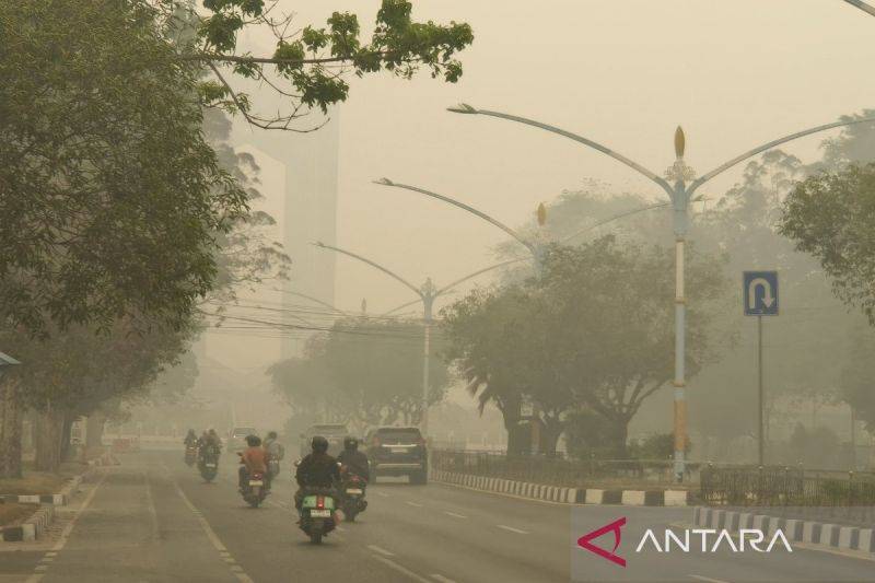 40 Debitur di Kalteng Terdampak Karhutla, Potensi Klaim Asuransi Rp455,82 Juta
