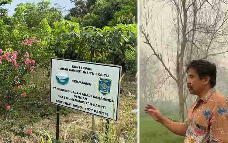 Teknologi Carbon Farming Disebut Mampu Jaga Kelembapan dan Cegah Kebakaran di Lahan Gambut