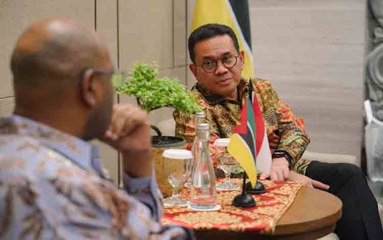 RI Jajaki Peluang Investasi Pengolahan Singkong di Mozambik