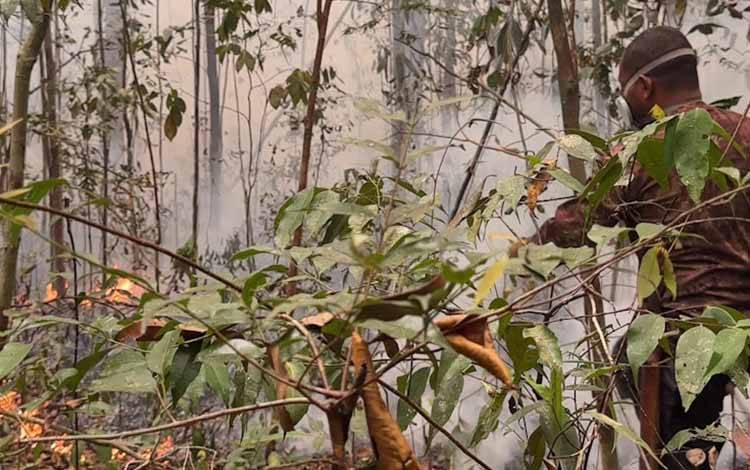 Hujan di Pangkalan Bun Belum Jangkau TNTP, Api Karhutla Masih Berkobar