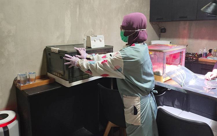 Atasi Lendir di Hidung Kucing, Paws Health Gunakan Nebulizer Modifikasi