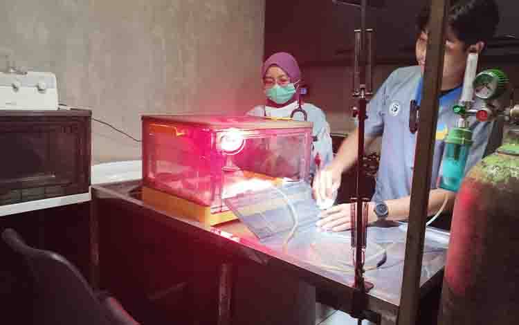 Kabut Asap Perparah Gejala ISPA Kucing, dari Flu hingga Butuh Oksigen