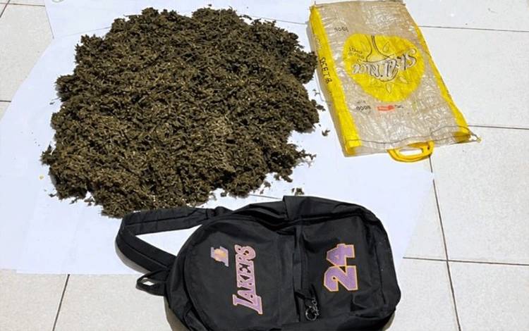 Polisi Tangkap Kurir Bawa 4 Kg Ganja