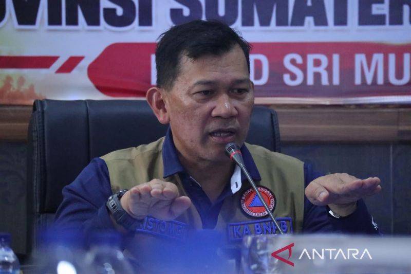 BNPB Desak Penegak Hukum Usut 44 Area Hutan dan Perkebunan Terbakar