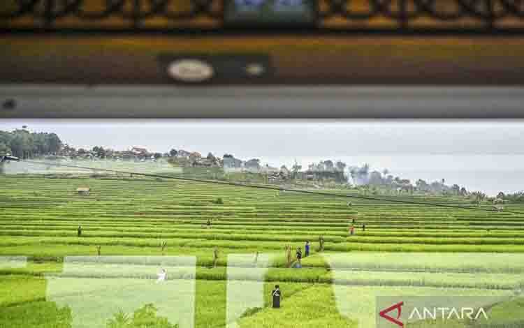 Sektor Pariwisata Datangkan Devisa Rp305,47 Triliun pada 2025