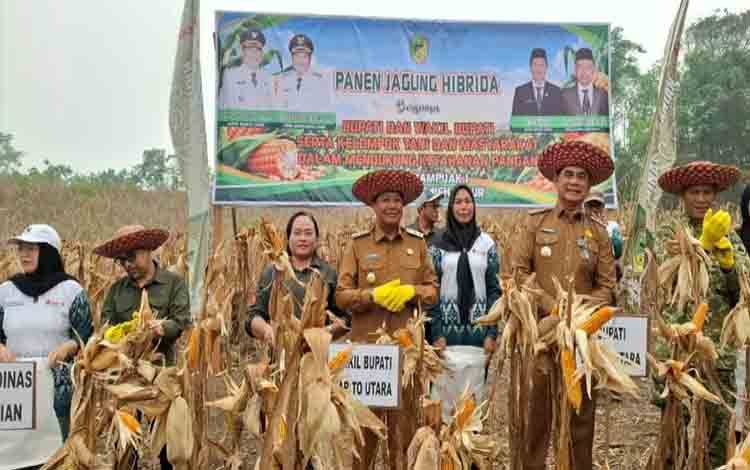 Bupati Dorong Pengembangan Jagung Hibrida untuk Perkuat Ketahanan Pangan Barito Utara