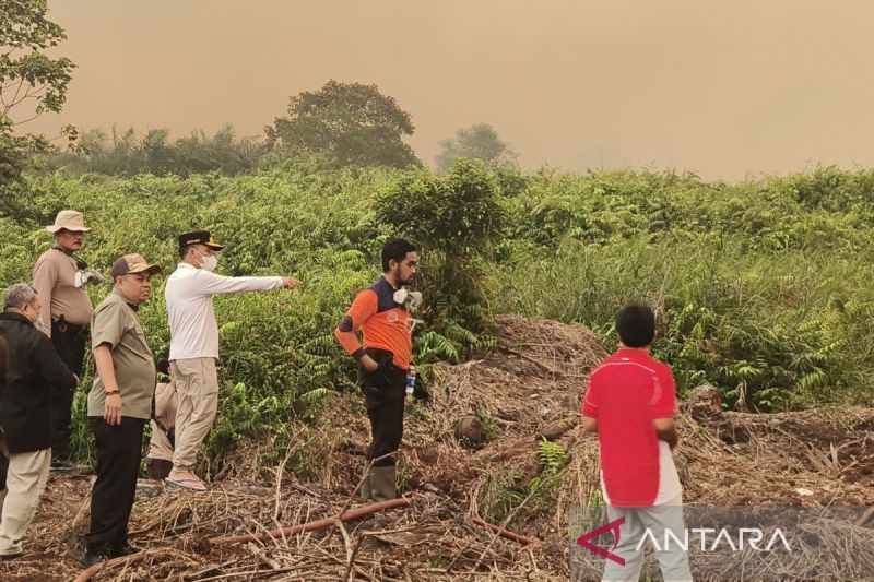 MUI Kalteng Ingatkan Huma Betang saat Karhutla, Desak Korporasi Pembakar Lahan Ditindak Tegas