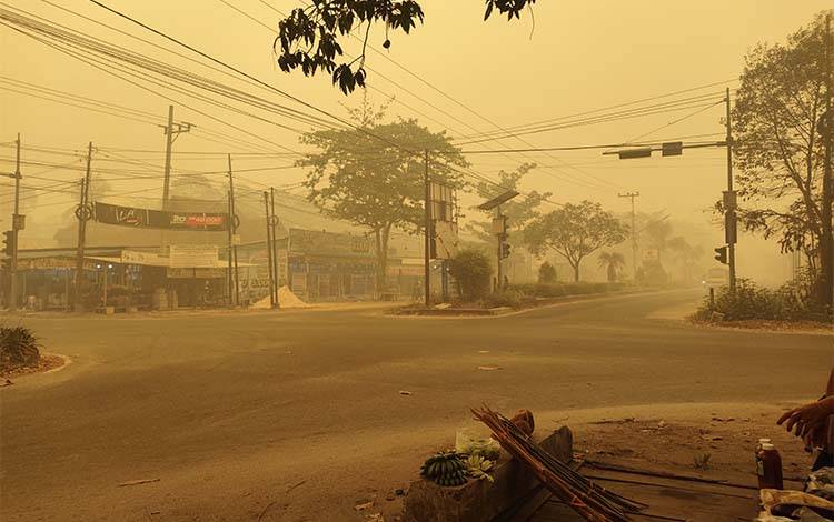 Akademisi Soroti Kemarau Panjang dan Lahan Gambut dalam Karhutla Kalteng