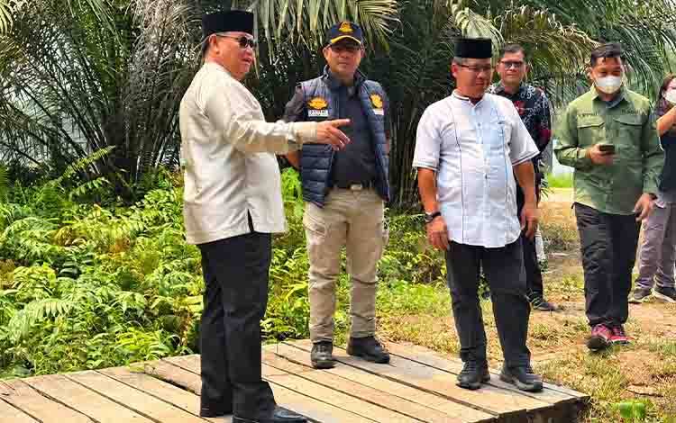 DPKP Kotim Dorong Pengembangan Nanas Gantang di Jalan Jaksa Agung Sampit@