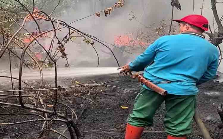 Hotspot Kalteng Turun Hampir Separuh ke 8.048 Titik, Kejadian Karhutla Harian 55 Luas 139,81 Hektare