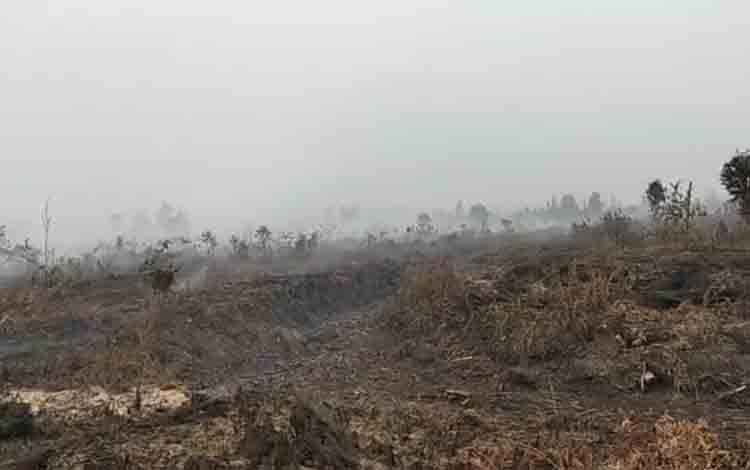 Sulitnya Medan Padamkan Karhutla di Pulau Hanaut, Ribuan Hektare Hutan Desa Terbakar