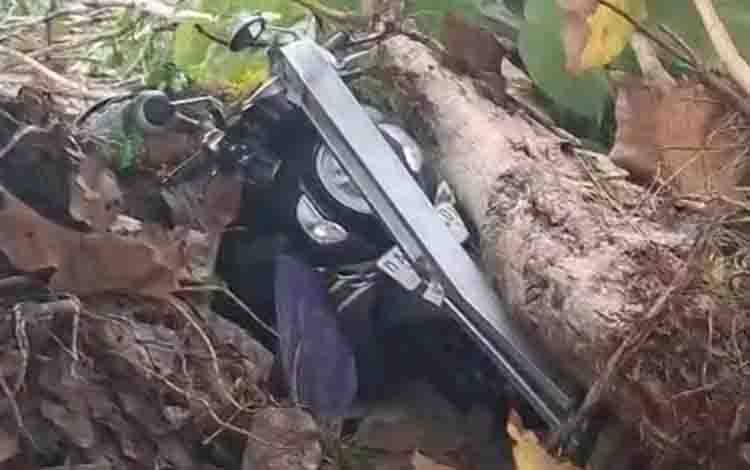 Hujan Disertai Angin Kencang, Sejumlah Motor di Kantor Kecamatan Angkinang Tertimpa Pohon Tumbang